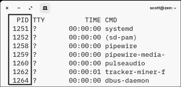 A set of PIDs in a terminal window