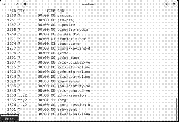 Running the ps command with more