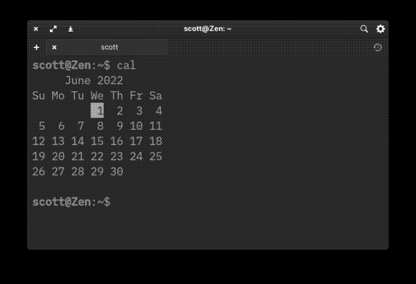 cal run without options