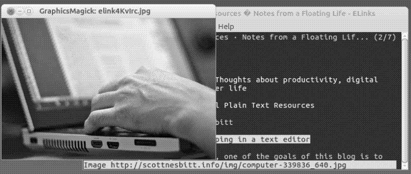 Viewing an image on a web page with ELinks
