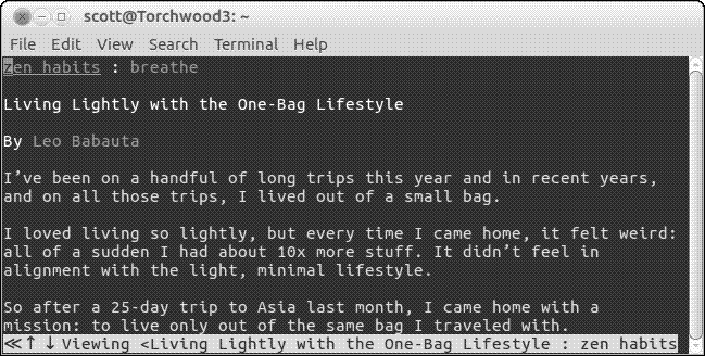 Browsing minimally with w3m