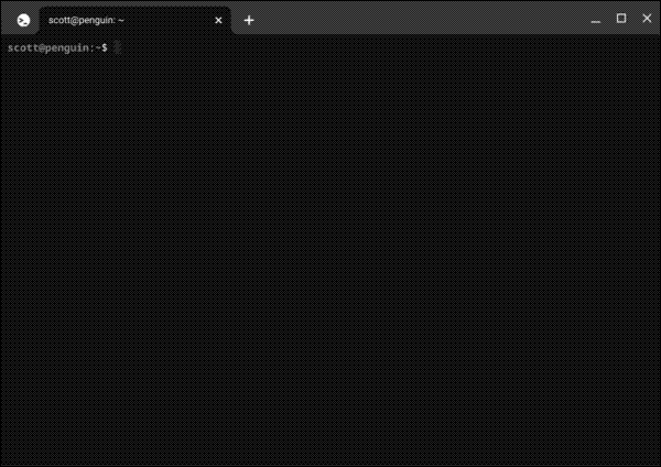 The Linux terminal that displays once the environment is set up on a Chromebook