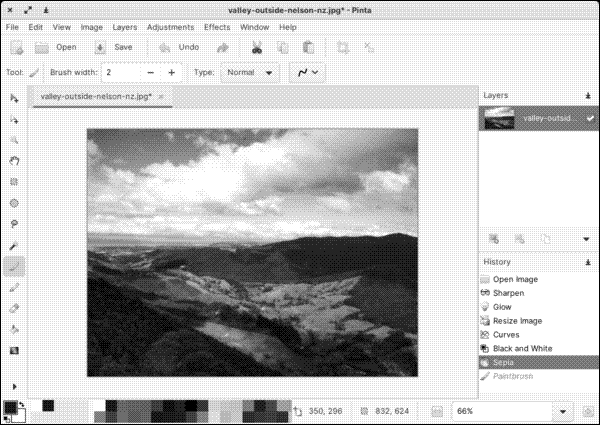An image in Pinta with effects applied