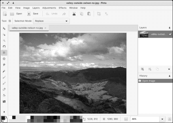 Pinta with an image loaded