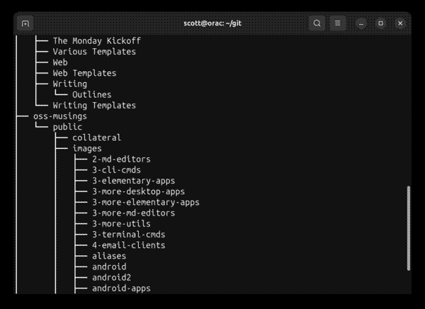 tree displaying only directories