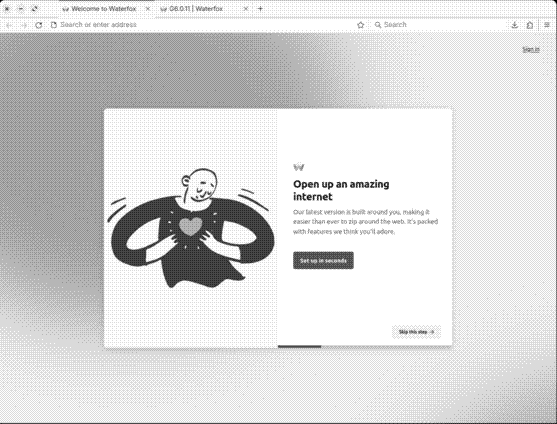 Waterfox at first start