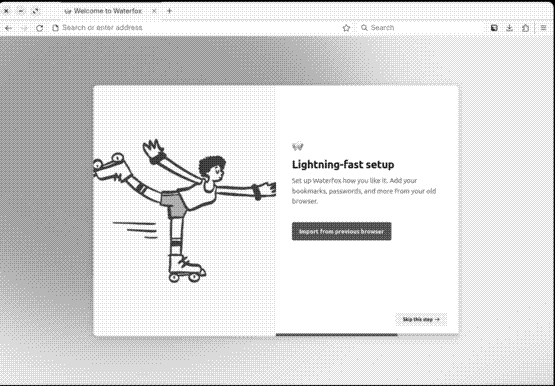 Waterfox set up screen