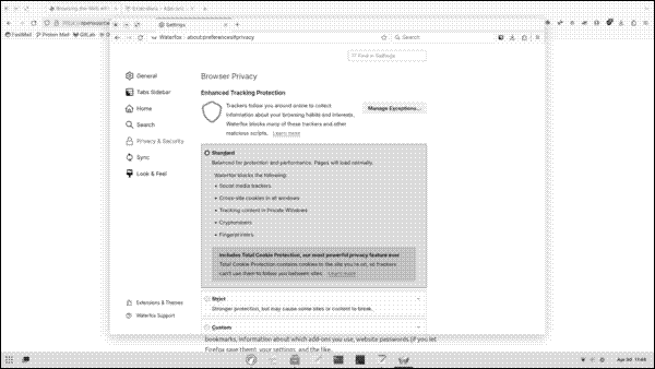 Waterfox’s security settings
